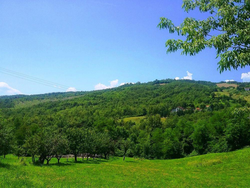 Il Mio Rifugio Guest House Gaggio Montano Ngoại thất bức ảnh